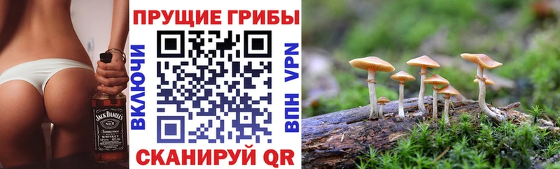 Галлюциногенные грибы Cubensis  Купить где  Волгодонск 